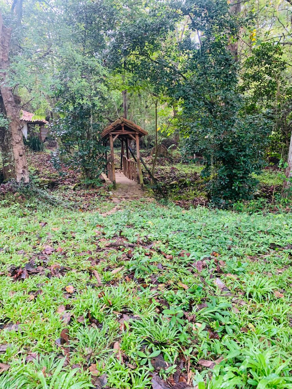 Puente de madera entre vegetación del bosque seco tropical en Chorreras, Barichara